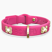 Load image into Gallery viewer, Boneflex Signature Gold Bones Collar
