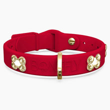 Load image into Gallery viewer, Boneflex Signature Gold Bones Collar
