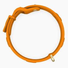 Load image into Gallery viewer, Boneflex Limited Ultra Mandarine Collar
