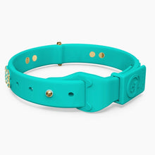 Load image into Gallery viewer, Boneflex Ultra Teal Collar
