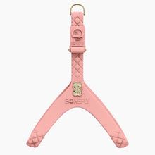Load image into Gallery viewer, QuiltFLY Ultra Blush Harness
