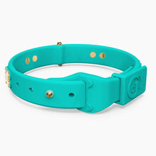 Load image into Gallery viewer, Boneflex Ultra Teal Collar
