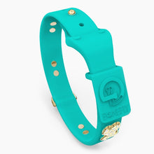Load image into Gallery viewer, Boneflex Ultra Teal Collar
