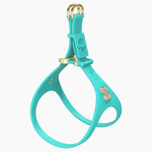 Load image into Gallery viewer, Boneflex Ultra Teal Harness
