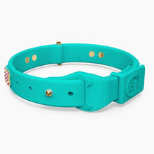 Load image into Gallery viewer, Boneflex Ultra Teal Collar
