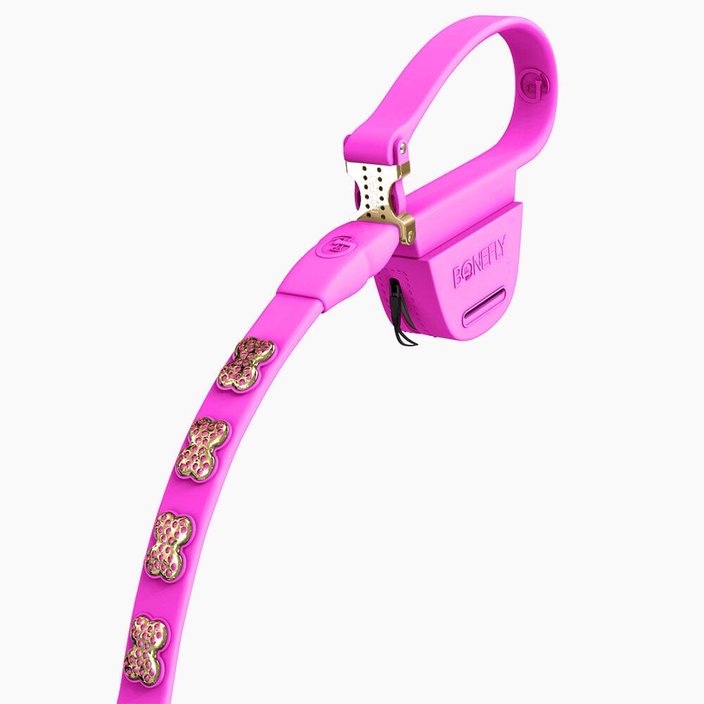 Boneflex Ultra Hot Pink Leash