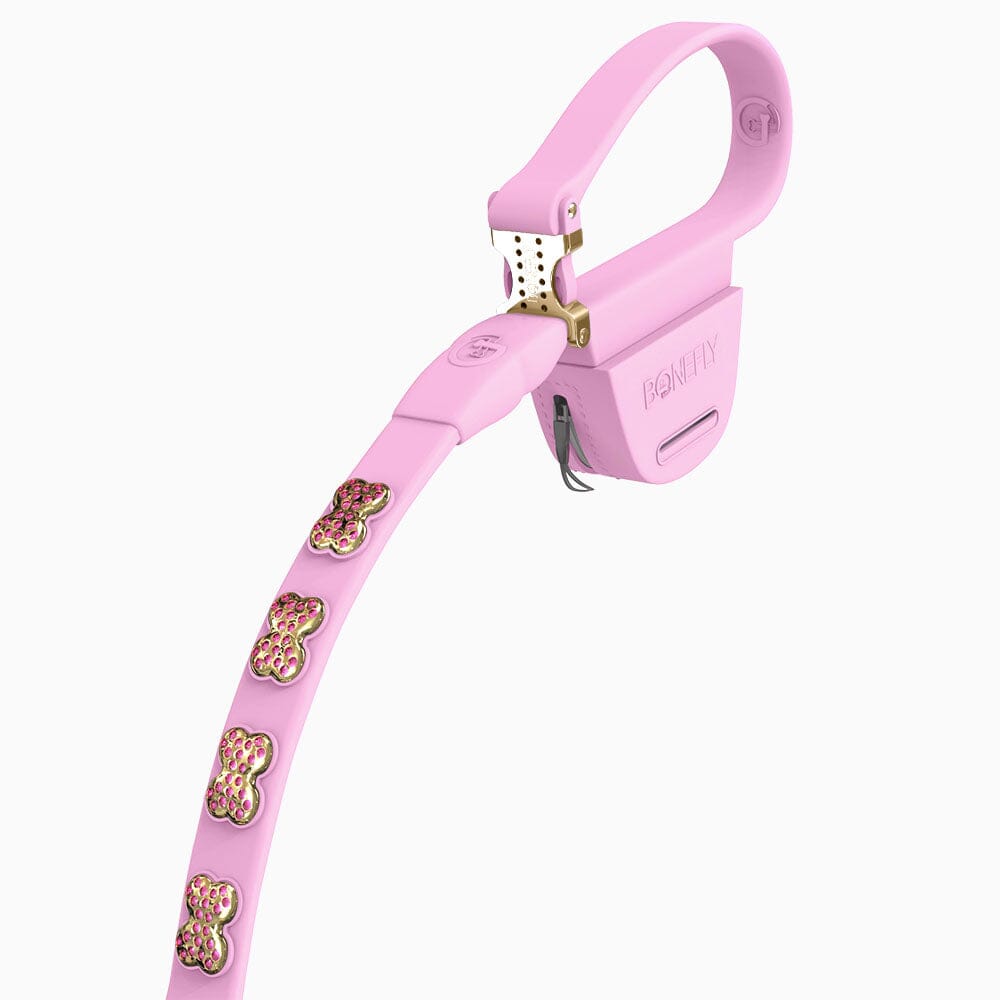 Boneflex Limited Ultra Lavender Leash