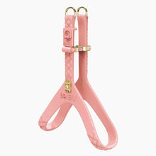 Load image into Gallery viewer, QuiltFLY Signature Gold Bones Harness
