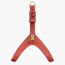 Load image into Gallery viewer, QuiltFLY Signature Silver Bones Harness
