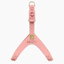 Load image into Gallery viewer, QuiltFLY Signature Gold Bones Harness
