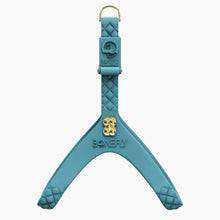 Load image into Gallery viewer, QuiltFLY Signature Gold Bones Harness
