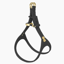 Load image into Gallery viewer, QuiltFLY Signature Gold Bones Harness
