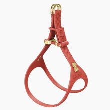 Load image into Gallery viewer, QuiltFLY Signature Silver Bones Harness
