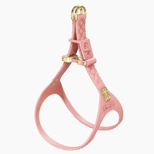 Load image into Gallery viewer, QuiltFLY Signature Gold Bones Harness
