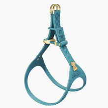 Load image into Gallery viewer, QuiltFLY Signature Gold Bones Harness
