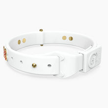 Load image into Gallery viewer, Boneflex Ultra White Collar
