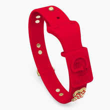 Load image into Gallery viewer, Boneflex Ultra Red Collar

