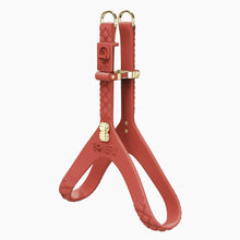 Load image into Gallery viewer, QuiltFLY Signature Spike Bones Harness
