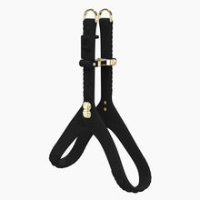 Load image into Gallery viewer, QuiltFLY Signature Spike Bones Harness
