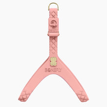 Load image into Gallery viewer, QuiltFLY Signature Spike Bones Harness
