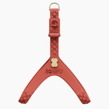 Load image into Gallery viewer, QuiltFLY Signature Spike Bones Harness
