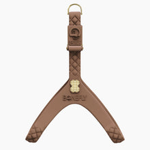 Load image into Gallery viewer, QuiltFLY Signature Spike Bones Harness
