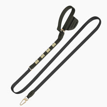 Load image into Gallery viewer, Boneflex Signature Spike Gold Leash
