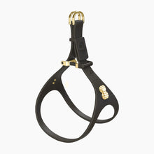 Load image into Gallery viewer, Boneflex Signature Spike Gold Harness
