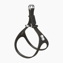 Load image into Gallery viewer, Boneflex Signature Spike Silver Harness
