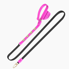 Load image into Gallery viewer, Boneflex Signature Spike Gold Leash
