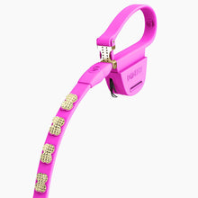 Load image into Gallery viewer, Boneflex Signature Spike Gold Leash
