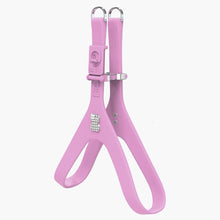 Load image into Gallery viewer, Boneflex Limited Spike Silver Harness
