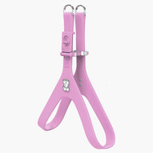 Load image into Gallery viewer, Boneflex Limited Silver Bone Harness
