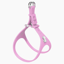 Load image into Gallery viewer, Boneflex Limited Spike Silver Harness
