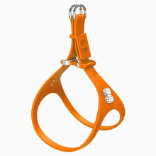 Load image into Gallery viewer, Boneflex Limited Spike Silver Harness
