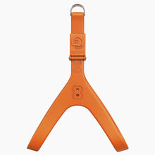 Load image into Gallery viewer, Boneflex Limited Harness
