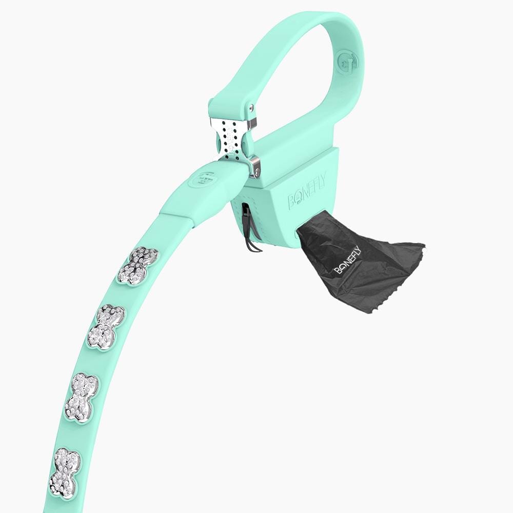 Boneflex Ultra Mint Leash