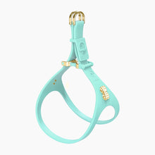 Load image into Gallery viewer, Boneflex Signature Spike Gold Harness
