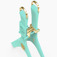 Load image into Gallery viewer, Boneflex Signature Spike Gold Harness

