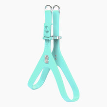 Load image into Gallery viewer, Boneflex Signature Spike Silver Harness
