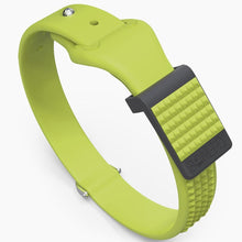 Load image into Gallery viewer, Spikefly Collar
