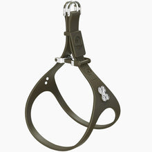 Load image into Gallery viewer, Boneflex Signature Silver Bone Harness
