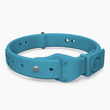 Load image into Gallery viewer, Boneflex Limited Collars
