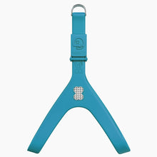 Load image into Gallery viewer, Boneflex Limited Spike Silver Harness
