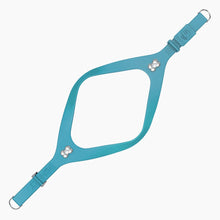 Load image into Gallery viewer, Boneflex Limited Silver Bone Harness
