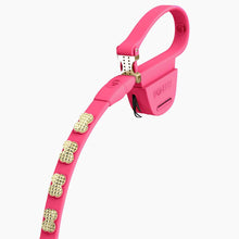 Load image into Gallery viewer, Boneflex Signature Spike Gold Leash
