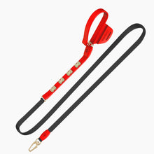 Load image into Gallery viewer, Boneflex Signature Spike Gold Leash

