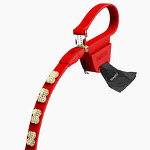 Load image into Gallery viewer, Boneflex Signature Spike Gold Leash
