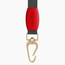Load image into Gallery viewer, Boneflex Signature Spike Gold Leash
