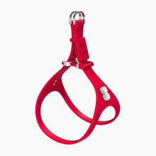 Load image into Gallery viewer, Boneflex Signature Spike Silver Harness
